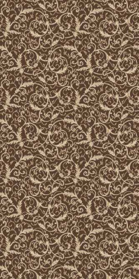 Ковровая VALENCIA DELUXE P024 BROWN