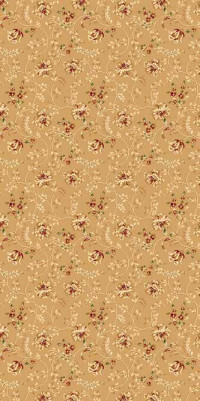 Ковровая VALENCIA DELUXE P025 BEIGE