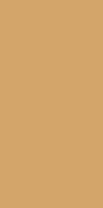Ковровая дорожка VALENCIA P000 BEIGE Российский ковер ВАЛЕНСИЯ фабрики Меринос P000 BEIGE Цена указана за 1 квадратный метр